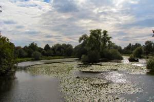 [An image showing Abbey Park]