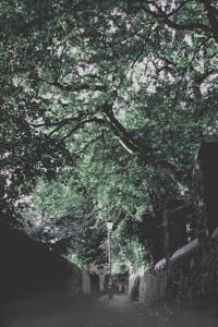 [An image showing Haunted Belgrave]