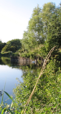 [An image showing Waterside Aylestone]